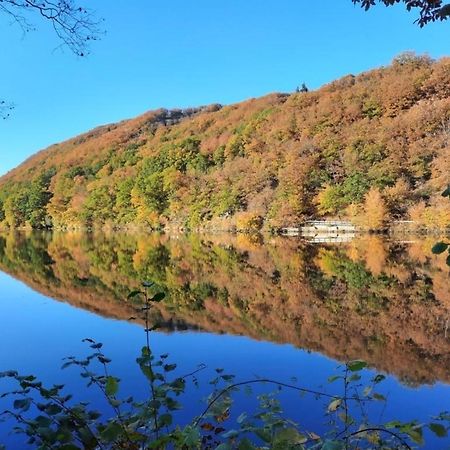 Ferienhaus &#039Freund Am See&#039 3 Heimbach Dış mekan fotoğraf